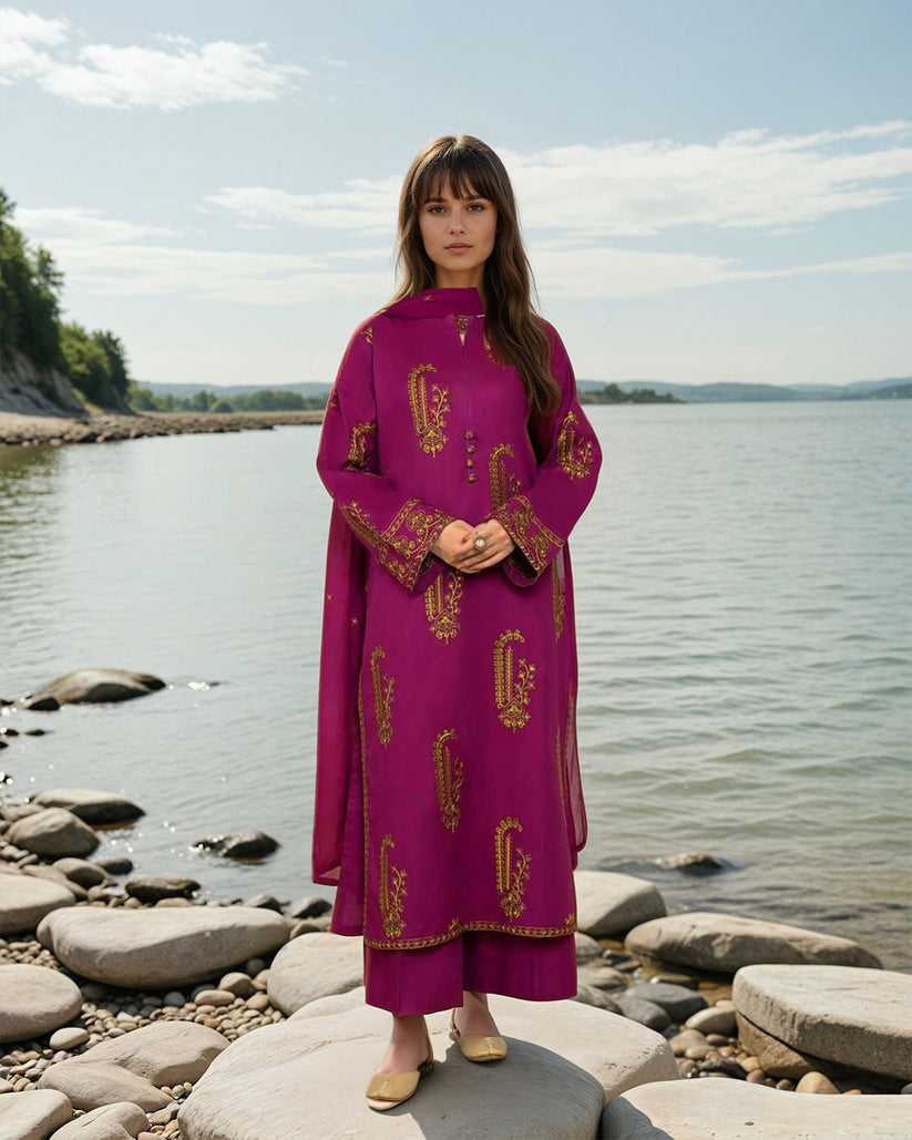 Amber Embroidered Ready To Wear 2pcs Stitch Suit